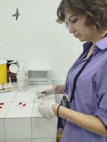 Γ Τάξη ΕΠΑΛ: Μαθητές μαθαίνουν τον προσδιορισμό ομάδων αίματος και παράγοντα Rhesus