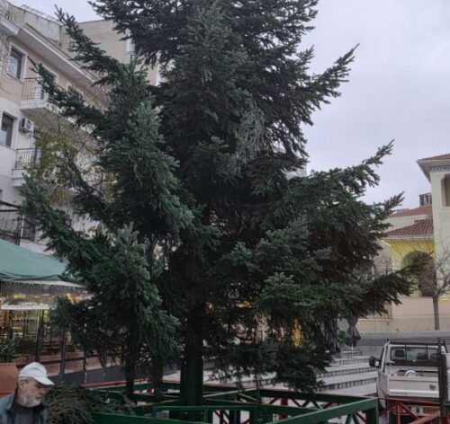 Νέο, πυκνότερο, φυσικό δέντρο τοποθετήθηκε στην κεντρική πλατεία Κοζάνης μετά από αρνητικά σχόλια πολιτών