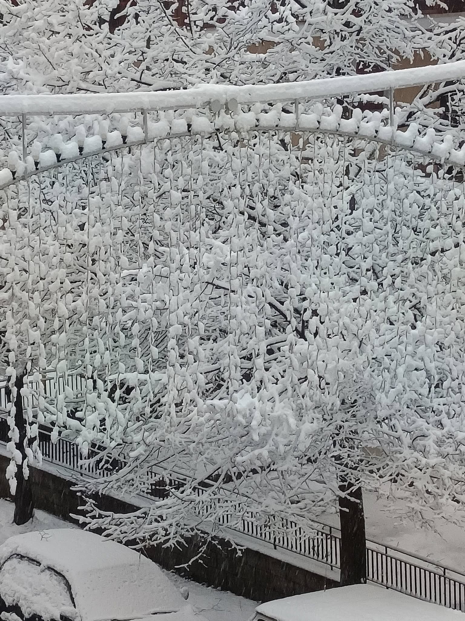 Στα λευκά η πόλη των Γρεβενών (φωτογραφίες)