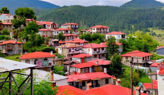 Στο νοσοκομείο ζευγάρι ηλικιωμένων μετά την φωτιά στη Μηλιά Μετσόβου