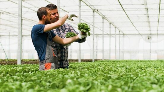 Καθοριστικός ο ρόλος των γεωτεχνικών στην αποκάλυψη του σκανδάλου ΟΠΕΚΕΠΕ – Έκκληση για ενίσχυση του κλάδου