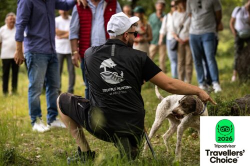 Διεθνής αναγνώριση για το Μουσείο Φυσικής Ιστορίας Μετεώρων και Μουσείο Μανιταριών