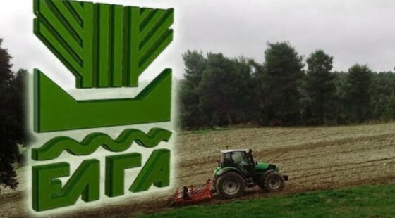 ΕΛΓΑ: Καταβολή αποζημιώσεων ύψους 73 εκατομμυρίων ευρώ για ζημίες  του 2025