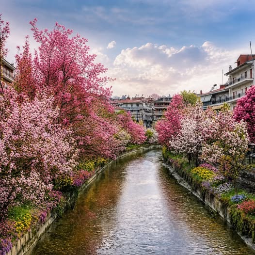 Grevenìtis River *Του Ευθύμη Πολύζου