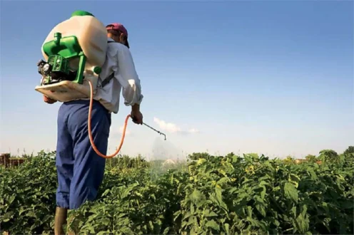 ΥΠΑΑΤ: Στο 97,7% η συμμόρφωση των δειγμάτων για υπολείμματα φυτοπροστατευτικών