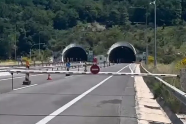 Πρόβατα έκαναν εμφάνιση στην Εγνατία στη σήραγγα Ανηλίου