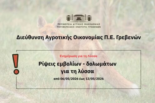 Γρεβενά: Εναέρια ρίψη αντιλυσσικών εμβολίων από 6 έως 13 Μαΐου 2026 – Ενημέρωση και προειδοποιήσεις για τους πολίτες