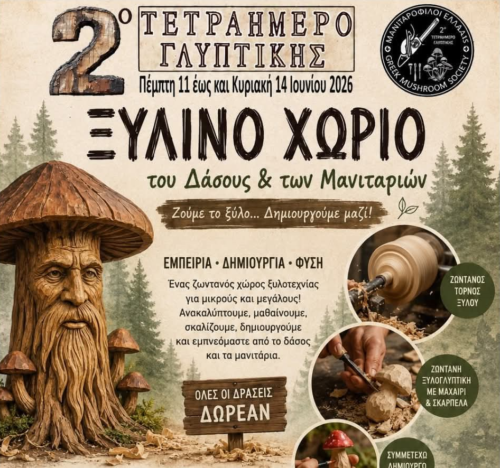 Γρεβενά: Ένα μεγάλο καλλιτεχνικό ραντεβού στο Πάρκο των Μανιταριών