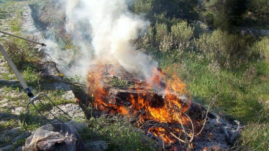 Πρόστιμο 1.250 ευρώ για καύση υπολειμμάτων φυτικής βλάστησης στα Γρεβενά