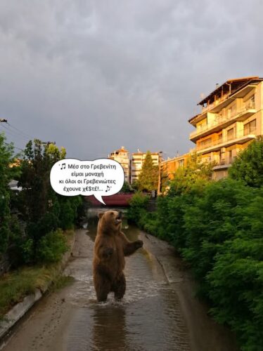 Οι αρκούδες συνεχίζουν τις προκλήσεις απέναντι στους φιλήσυχους Γρεβενιώτες… *Του Ευθύμη Πολύζου