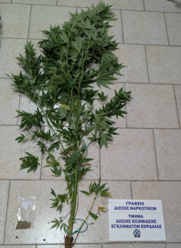 Τέσσερις συλλήψεις για ναρκωτικά σε Γρεβενά και Κοζάνη