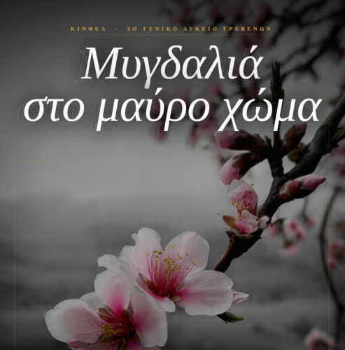 Πέμπτο βραβείο για την ΚινΘΕΑ του 2ου ΓΕΛ Γρεβενών με την ταινία «Μυγδαλιά στο μαύρο χώμα»